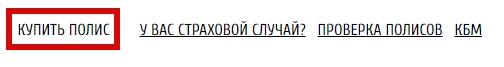 Личный кабинет «Боровицкое Страховое Общество»